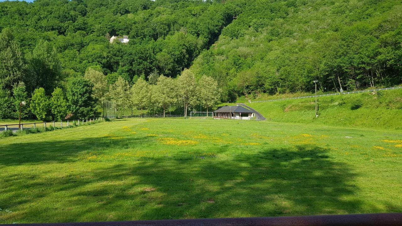 Village 17 Gites, Piscine, Restaurant , 2 Gites Avec Spa, 3Km De Conques Extérieur photo